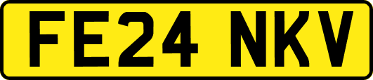 FE24NKV