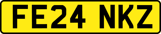FE24NKZ