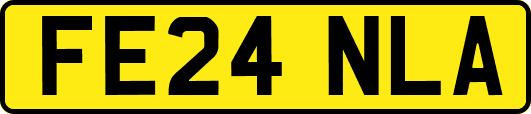 FE24NLA