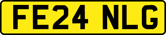 FE24NLG