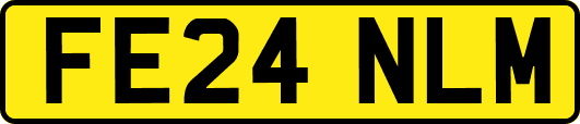 FE24NLM