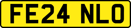 FE24NLO