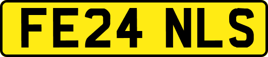 FE24NLS