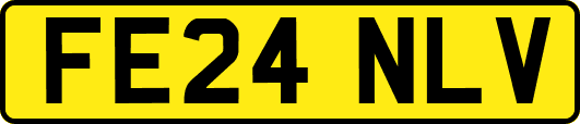 FE24NLV