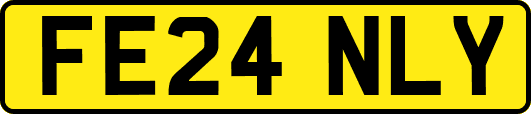 FE24NLY