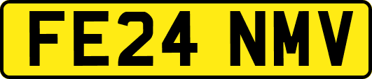 FE24NMV