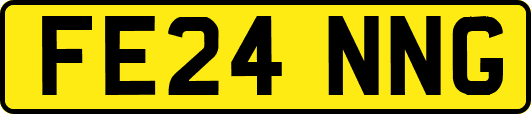 FE24NNG