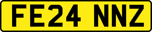 FE24NNZ