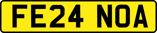 FE24NOA