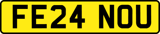 FE24NOU
