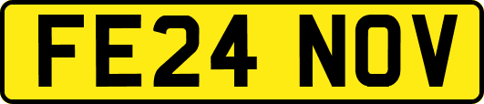 FE24NOV
