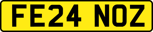 FE24NOZ