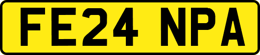 FE24NPA