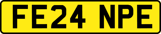 FE24NPE
