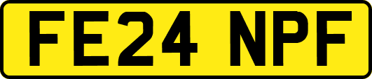 FE24NPF