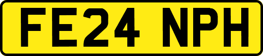 FE24NPH