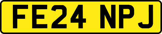 FE24NPJ