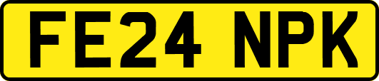 FE24NPK
