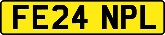 FE24NPL