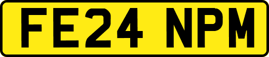 FE24NPM