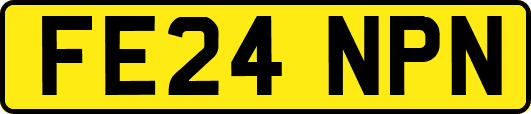 FE24NPN