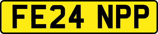 FE24NPP