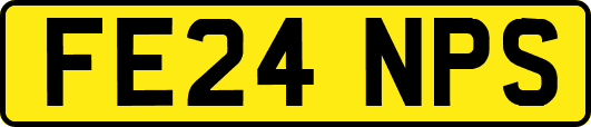 FE24NPS