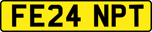 FE24NPT