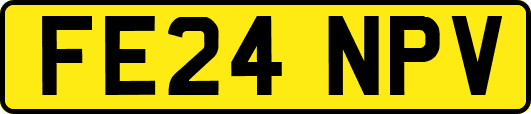 FE24NPV