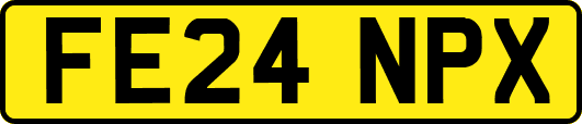FE24NPX