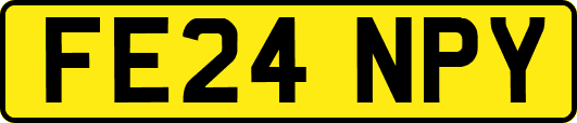 FE24NPY