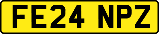 FE24NPZ