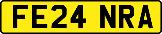 FE24NRA