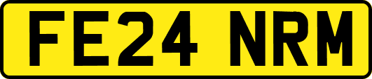 FE24NRM