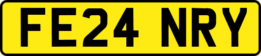 FE24NRY