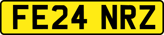 FE24NRZ