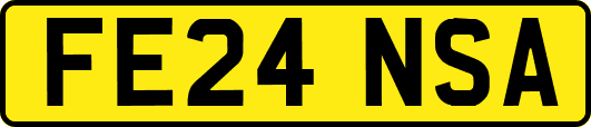 FE24NSA