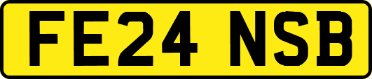 FE24NSB