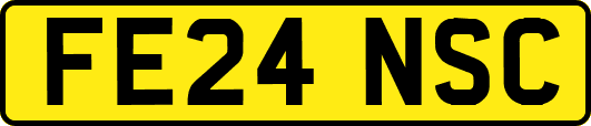 FE24NSC