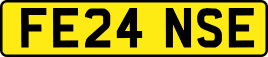 FE24NSE