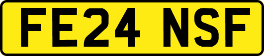 FE24NSF