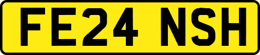 FE24NSH
