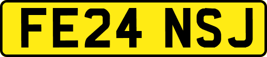 FE24NSJ