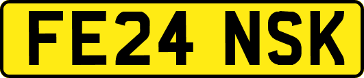 FE24NSK