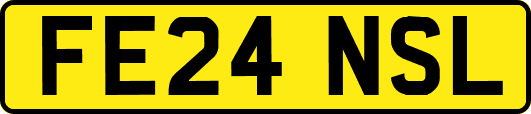 FE24NSL