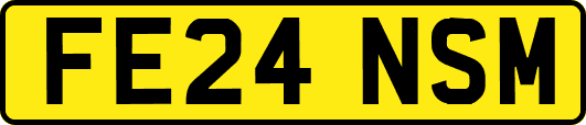 FE24NSM