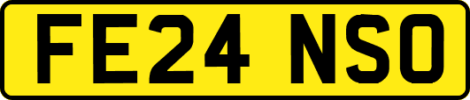 FE24NSO
