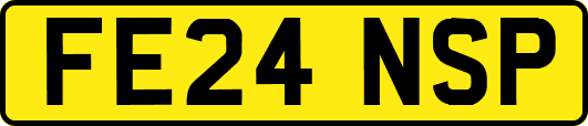 FE24NSP