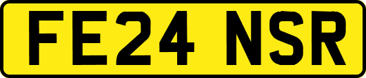 FE24NSR