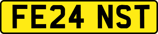 FE24NST
